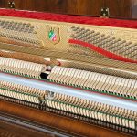 中古ピアノ PETROF （ペトロフ） P118D1 内部