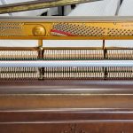 APOLLO （アポロ） A120 PIERRE　内部