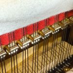 APOLLO （アポロ） A120 PIERRE　アグラフ